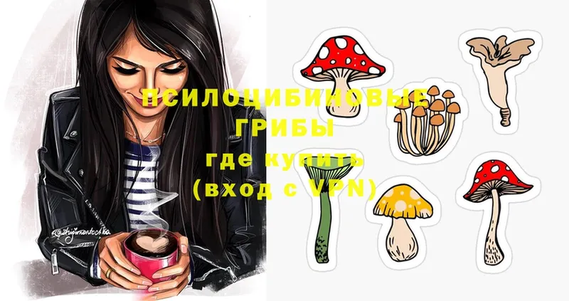 Псилоцибиновые грибы MAGIC MUSHROOMS  Белогорск 